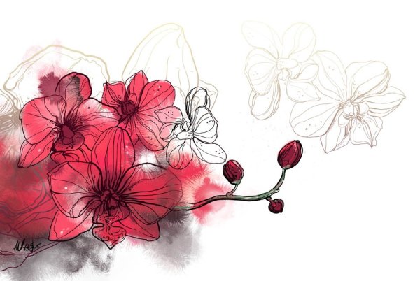 Орхидея стилизация