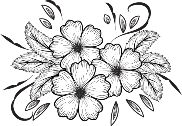 Цветы карандашом