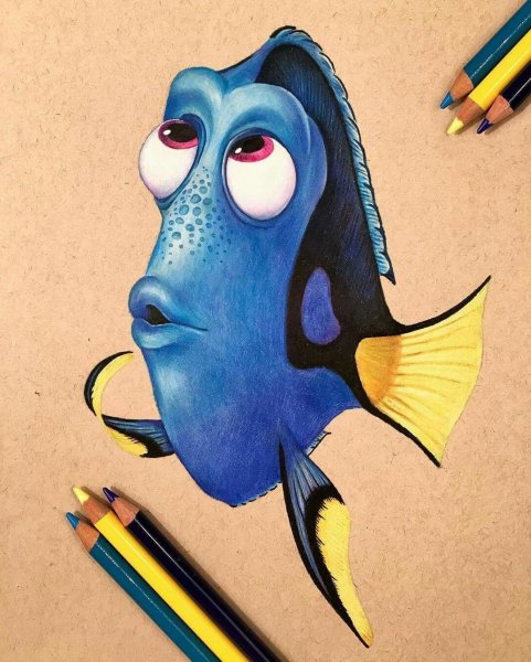 Рыбы цветными карандашами