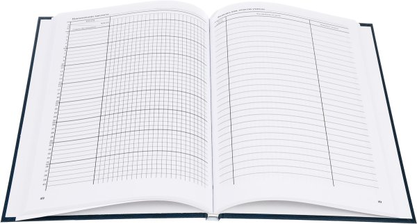 Школьный журнал