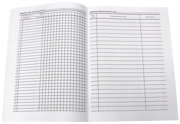 Журнал учителя