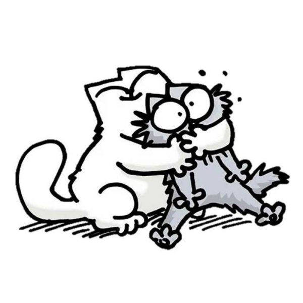 Симонс Кэт мультик