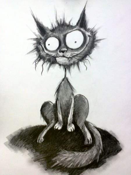 Смешные мультяшные коты