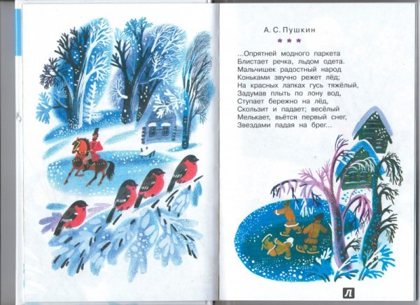 Гусыня на льду