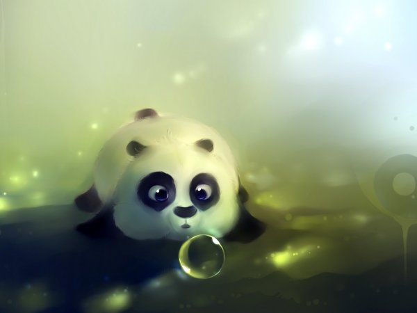 Милые пандочки