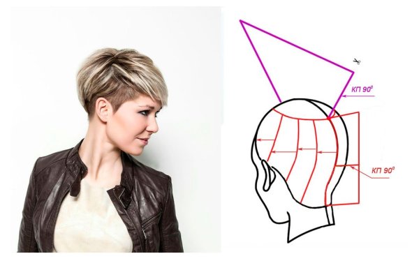 Стрижка Гарсон схема выполнения стрижки