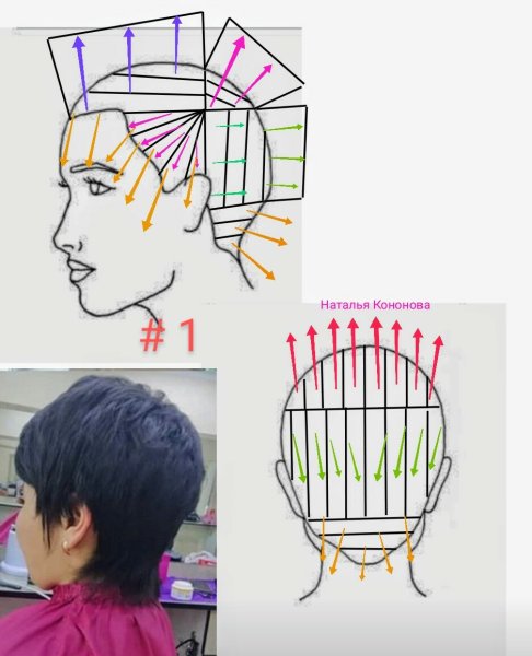 Стрижка Гарсон схема выполнения стрижки