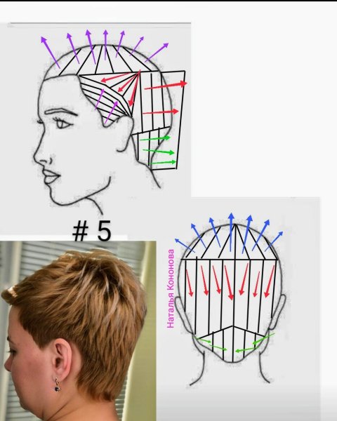 Технология стрижки рапсодия схема