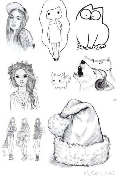 Рисунки Елены ШЕЙДЛИНОЙ