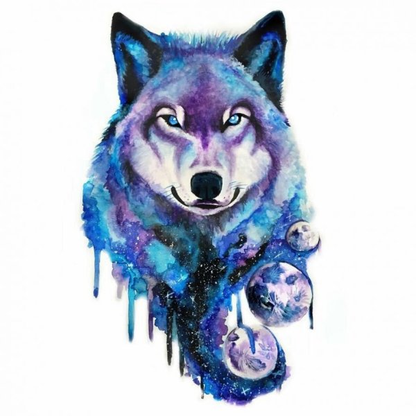 Акварельный волк