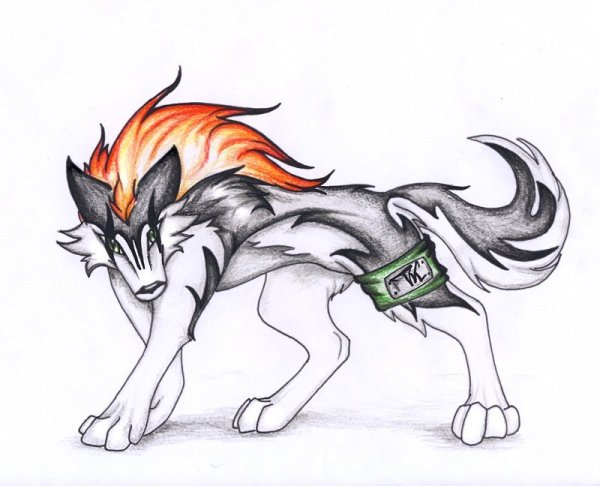 Волк рисунок