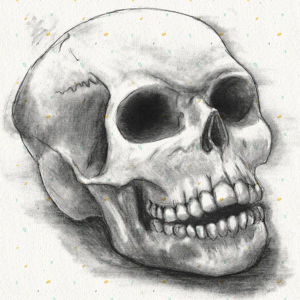 Череп простым карандашом