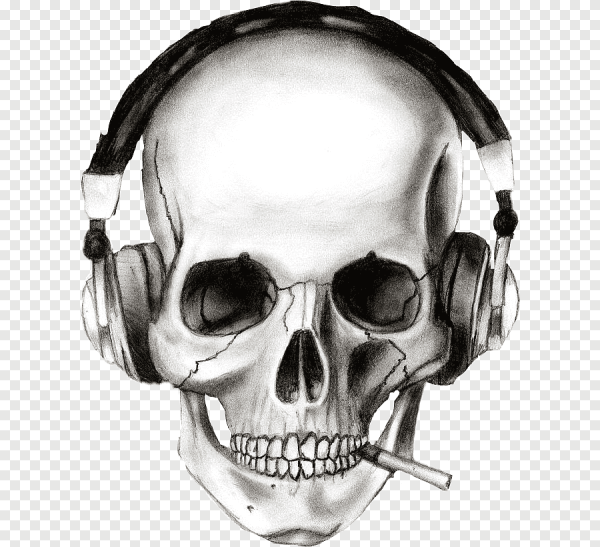 Прикольные черепа