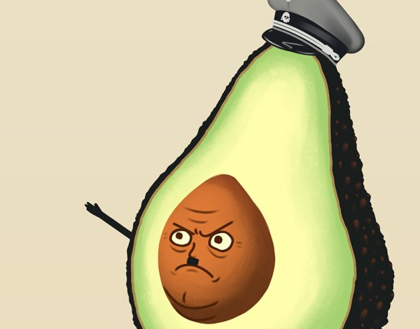 Авокадо прикольные