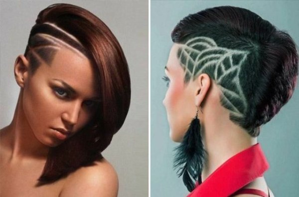 Пикси Боб сзади