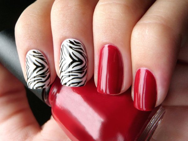 Варианты маникюра с шеллаком