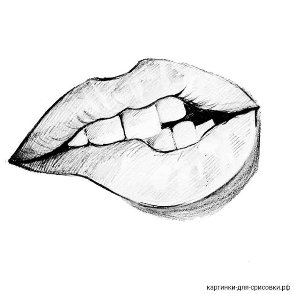 Губы для срисовки карандашом