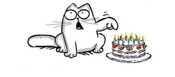 Кот Саймон с днем рождения