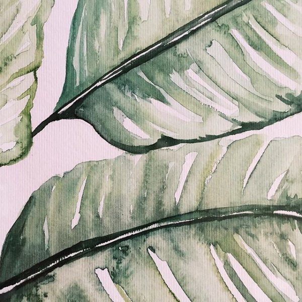 Лист банана акварель