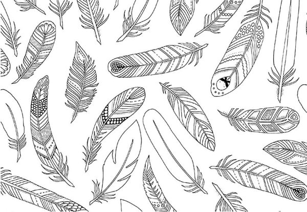Раскраски антистресс перья
