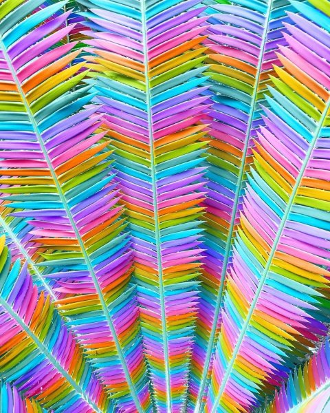 Радужная Эстетика