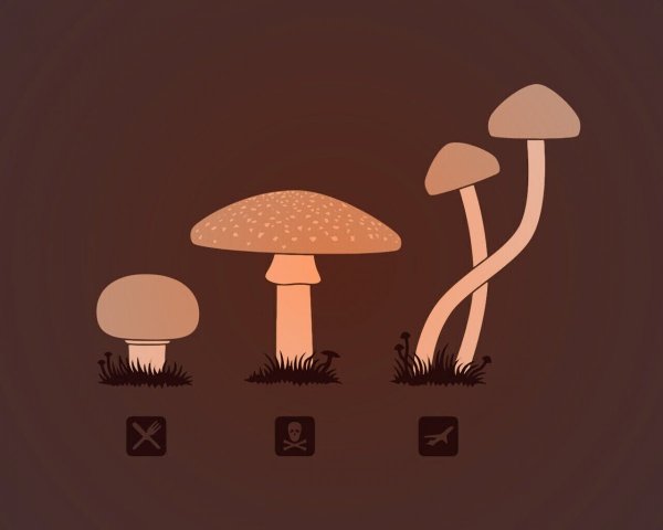 Грибы Минимализм