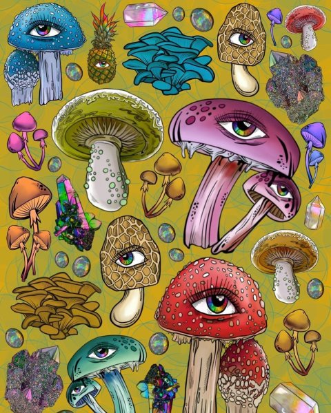 Инди КИД грибы