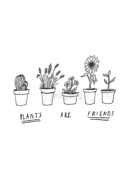 Кактусы рисунки для ежедневника