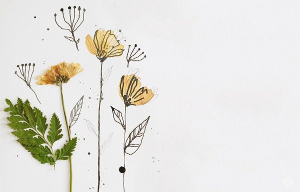 Картины растения Минимализм