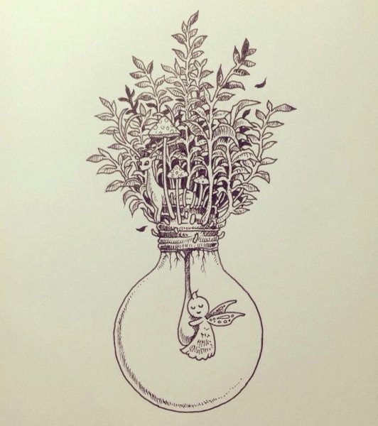 Эстетика растения в лампочке