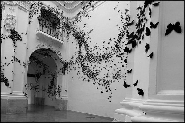 Графические обои для стен