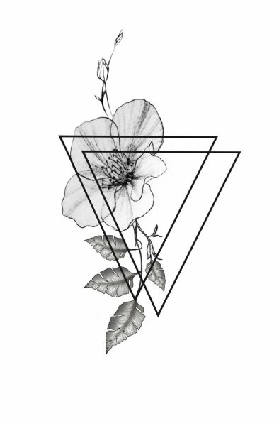 Сердце Графика