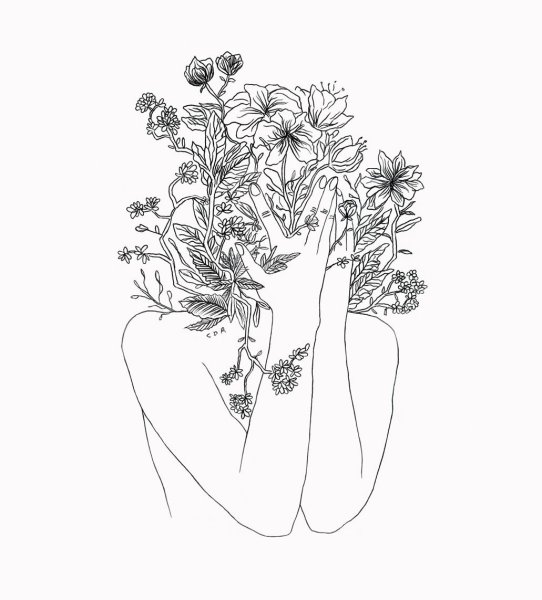 Растения для скетчбука