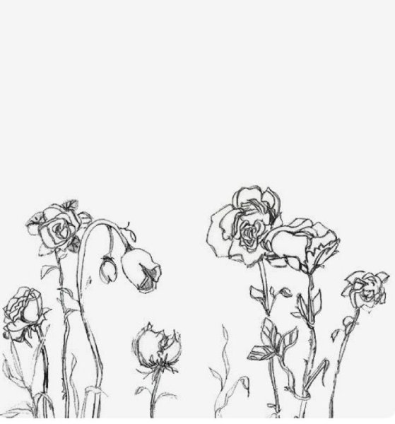 Картины растения Минимализм