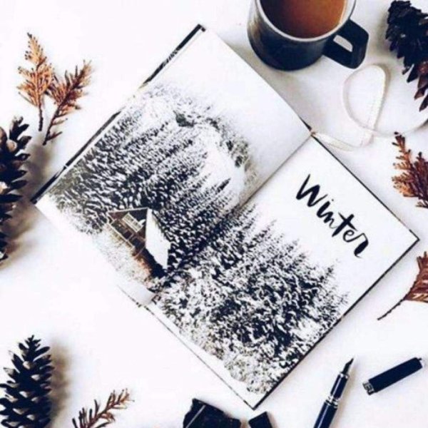 Зимняя книга