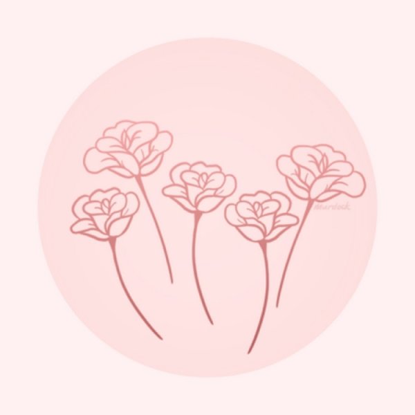 Розовая Эстетика Минимализм