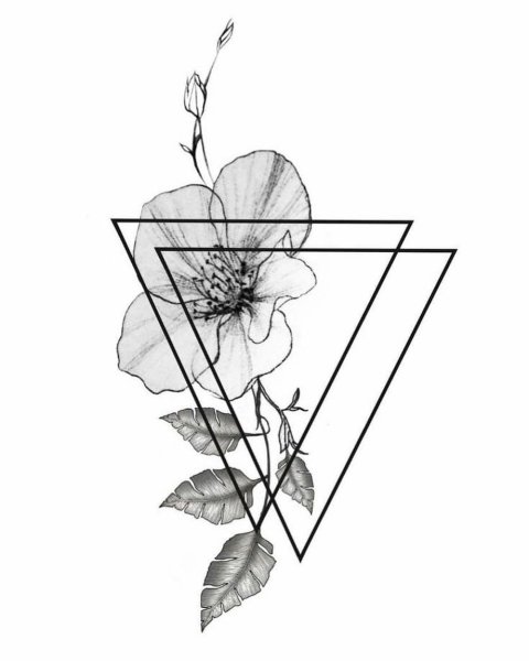 Идеи для рисунков растения