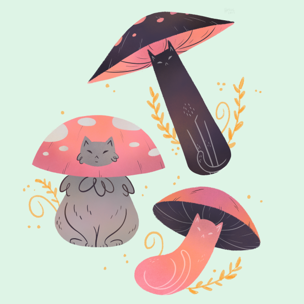 Мухомор Ботаническая иллюстрация