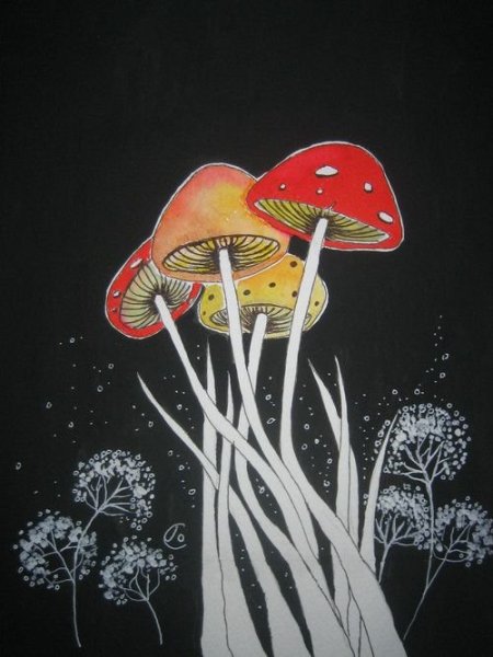 Инди КИД грибы