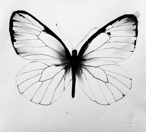 Эскиз тату бабочка Минимализм