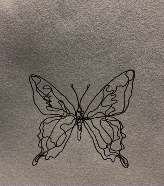 Бабочка эскиз