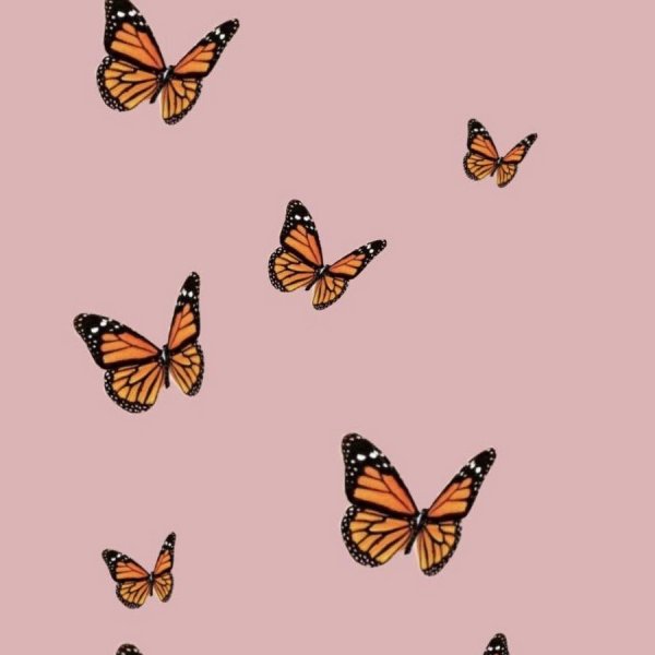 Бабочки из пинтереста