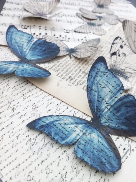 Голубые бабочки Эстетика