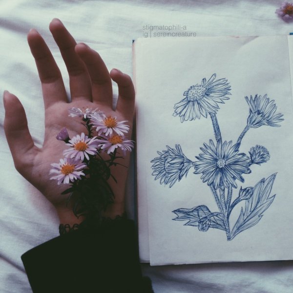 Лёгкие рисунки эстетики