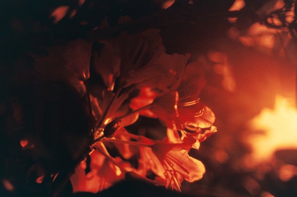 Огонь Эстетика