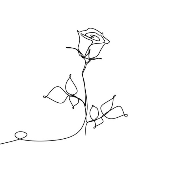 Роза одной линией