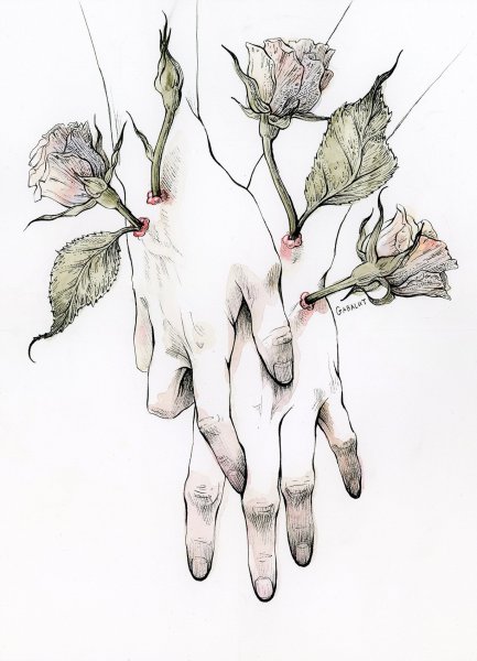 Цветы Минимализм без фона