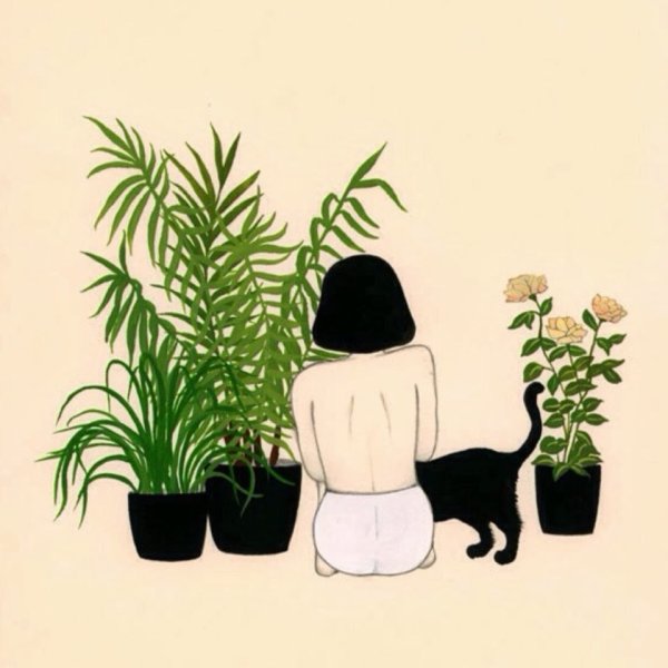 Рисунки цветов тамблер