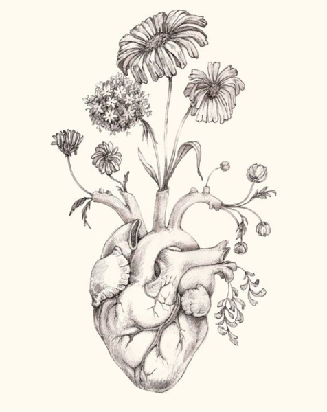 Красивые наклейки растения