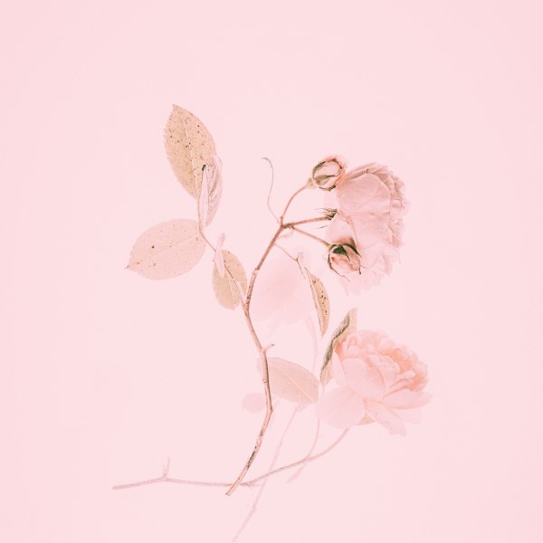 Фон в бежево розовых тонах